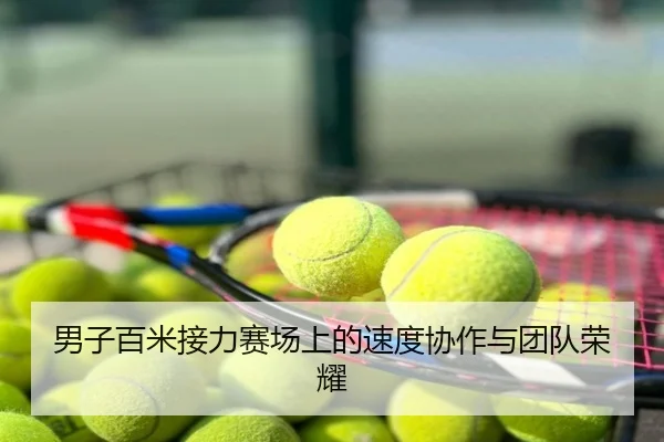 男子百米接力赛场上的速度协作与团队荣耀