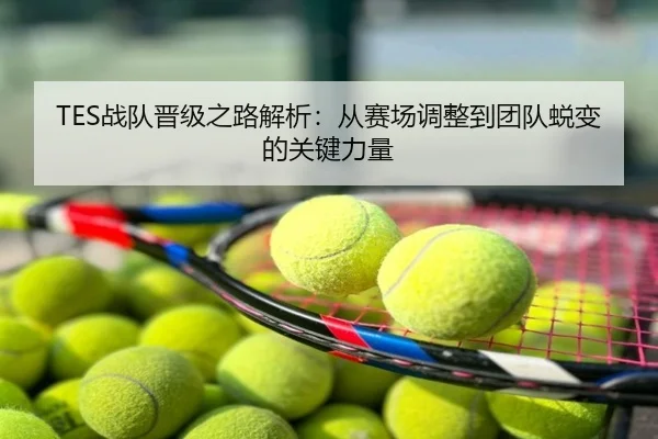 TES战队晋级之路解析：从赛场调整到团队蜕变的关键力量